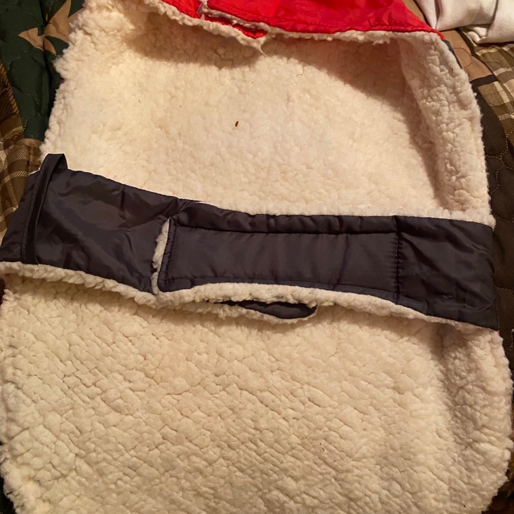 Dog Coat - Picture 3 of 3